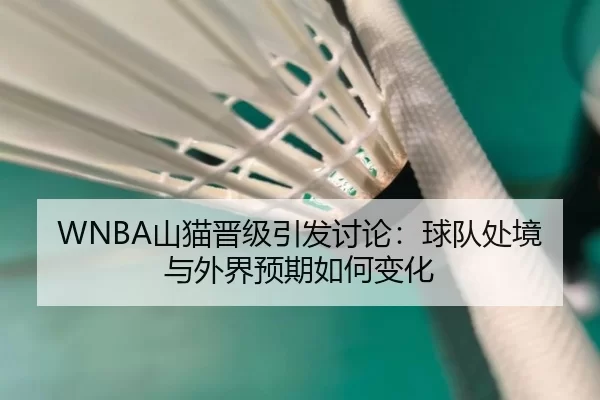 WNBA山猫晋级引发讨论：球队处境与外界预期如何变化